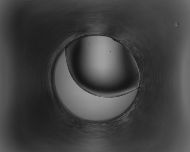 X0000090610244200707171049