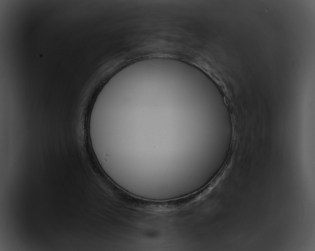X0000090610245200707171049