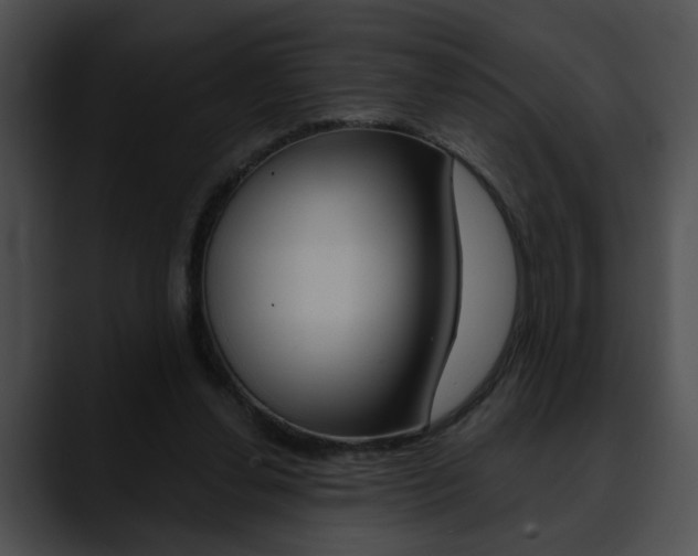 X0000090610252200707171049