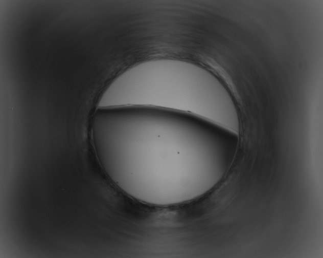 X0000090610257200707171049