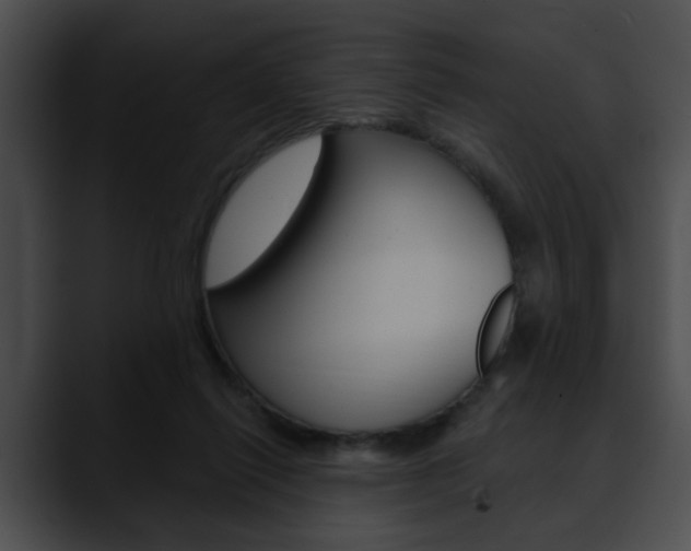 X0000090610262200707171050