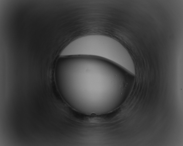 X0000090610268200707171050