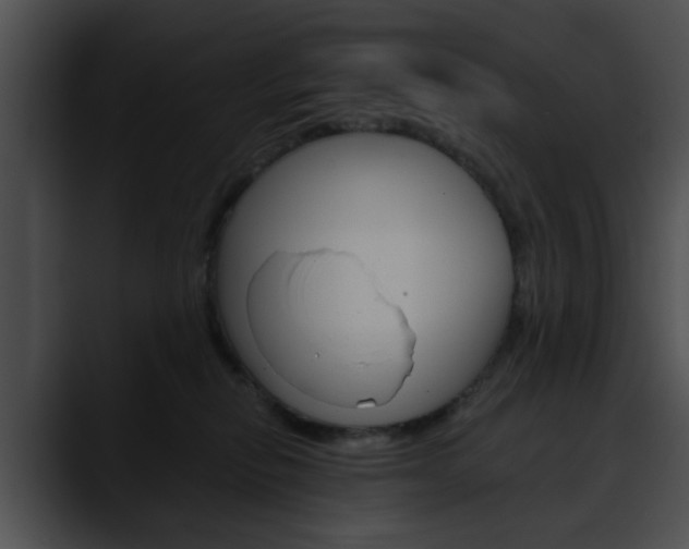 X0000090610278200707171050