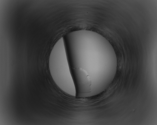 X0000090610279200707171050