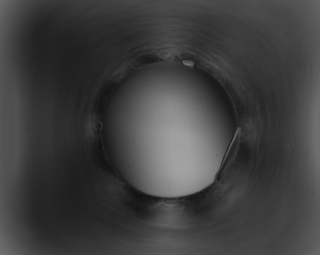 X0000090610280200707171050