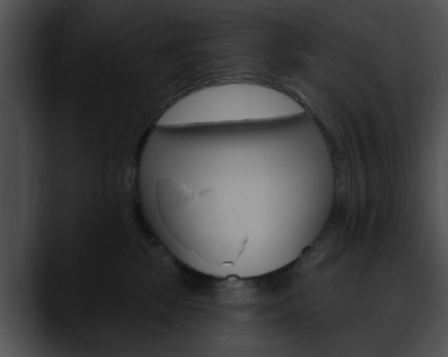 X0000090610281200707171050
