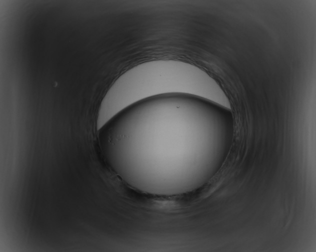 X0000090610284200707171050
