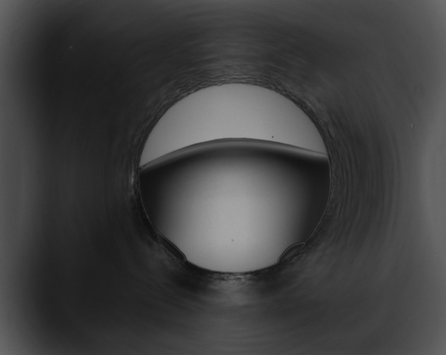 X0000090610288200707171050