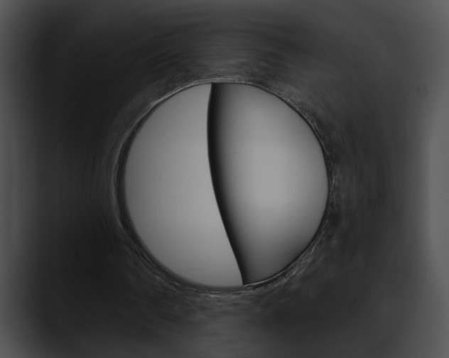 X0000090610290200707171049