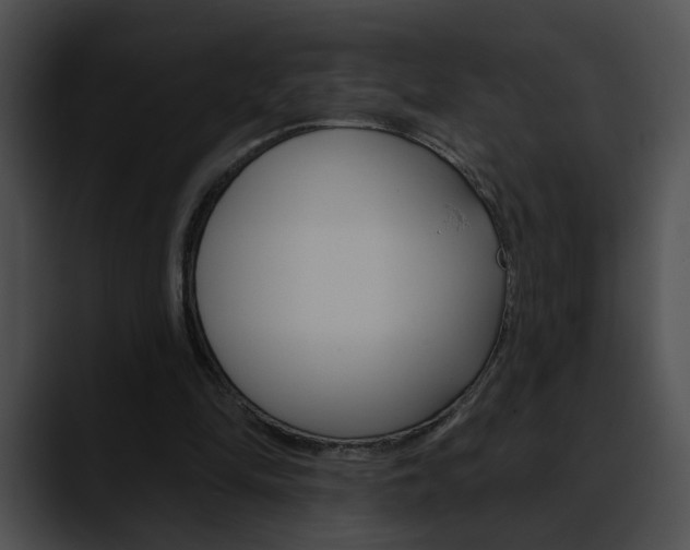 X0000090610294200707171049