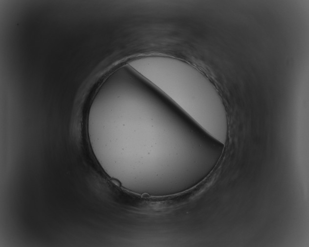 X0000090610295200707171049