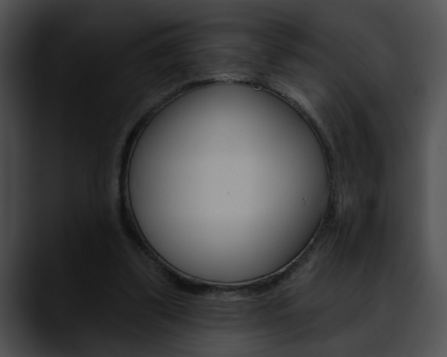 X0000090610299200707171049