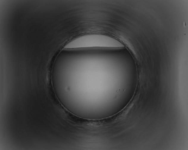 X0000090610305200707171049