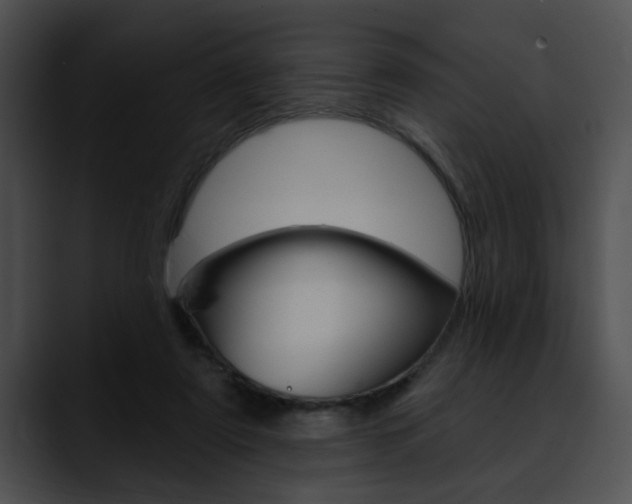 X0000090610307200707171049