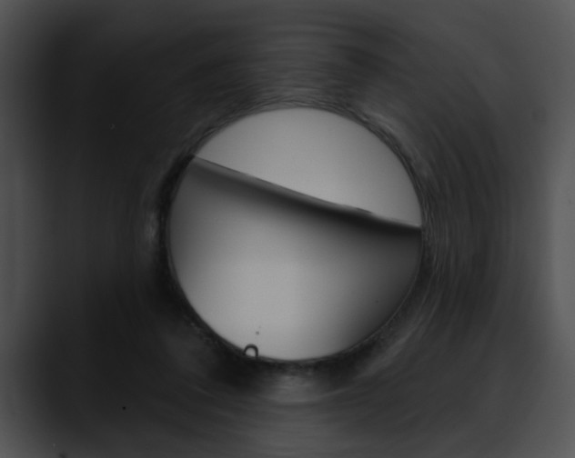 X0000090610308200707171049