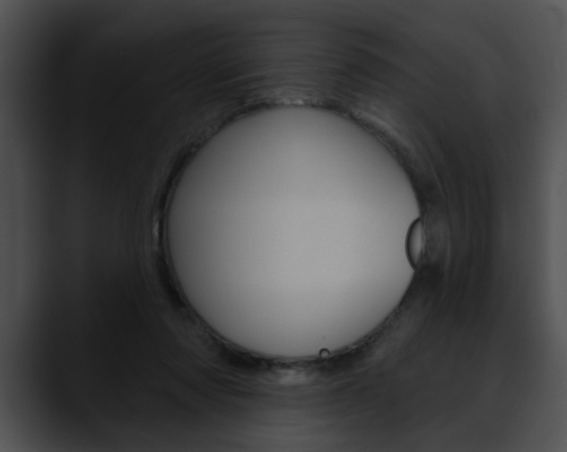 X0000090610310200707171049