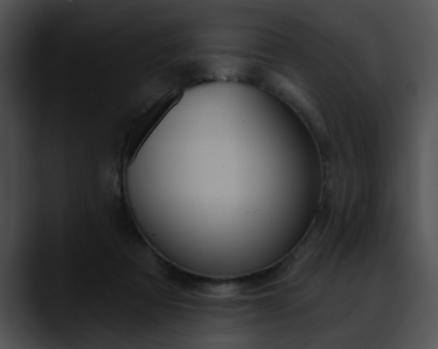 X0000090610313200707171049