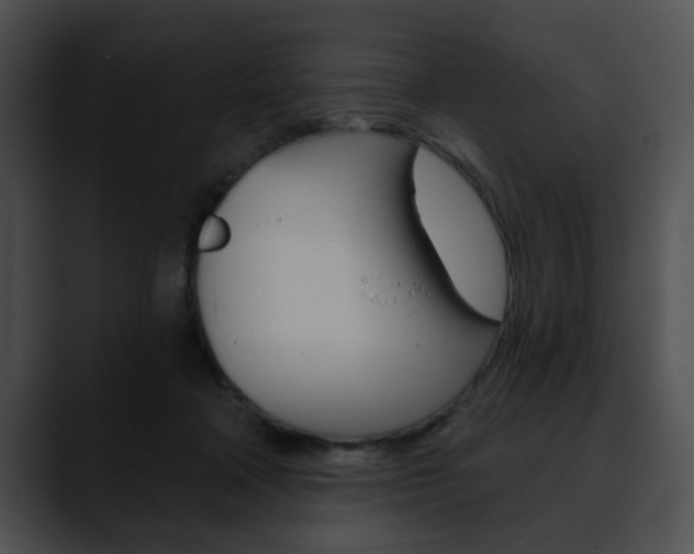 X0000090610314200707171049