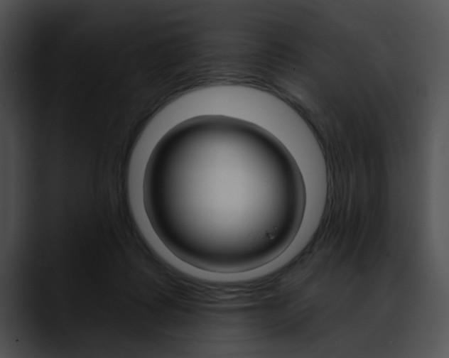 X0000090610315200707171049