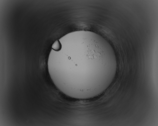 X0000090610320200707171049