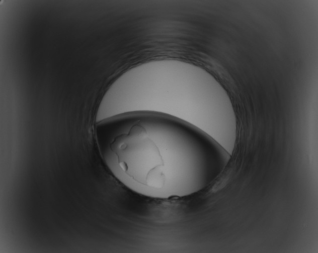 X0000090610329200707171049