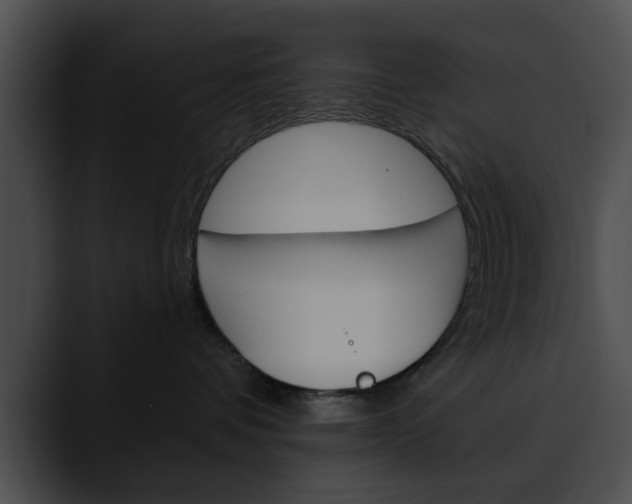 X0000090610336200707171049