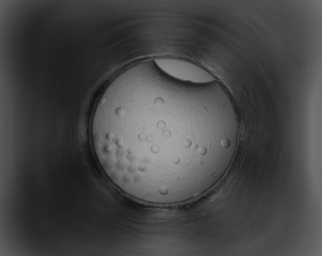 X0000090610347200707171048