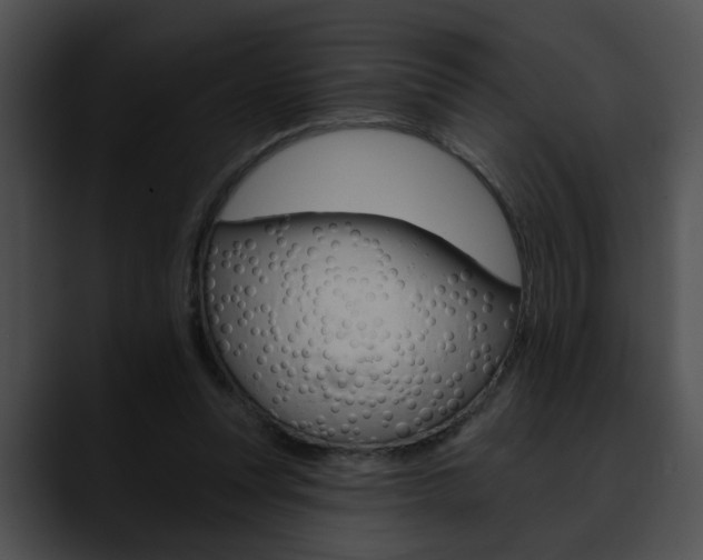 X0000090610351200707171048