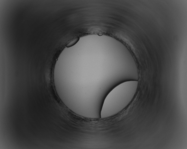 X0000090610353200707171048