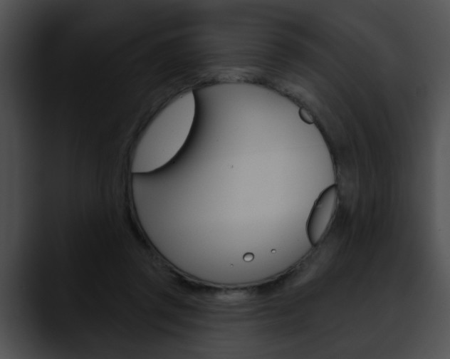 X0000090610357200707171048