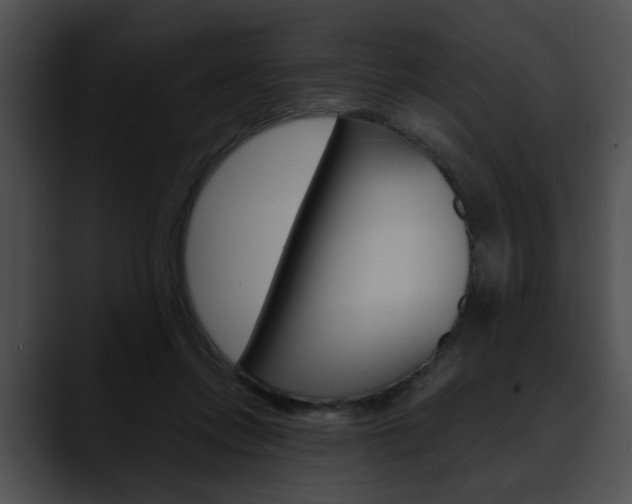 X0000090610358200707171048
