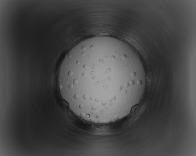 X0000090610359200707171048