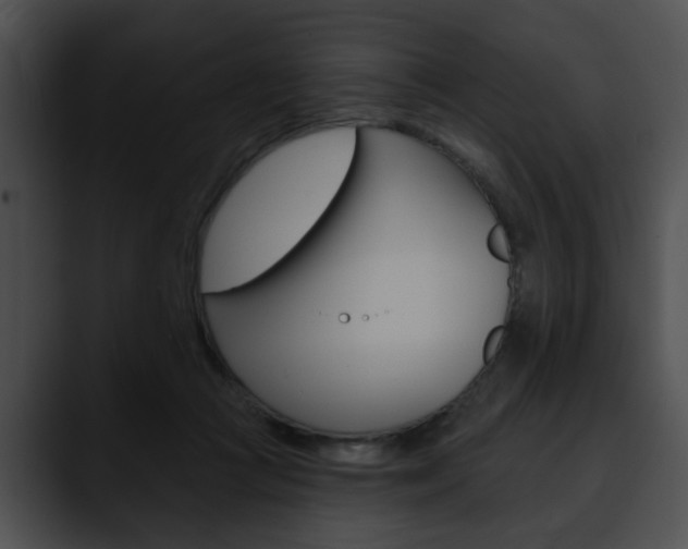 X0000090610361200707171048