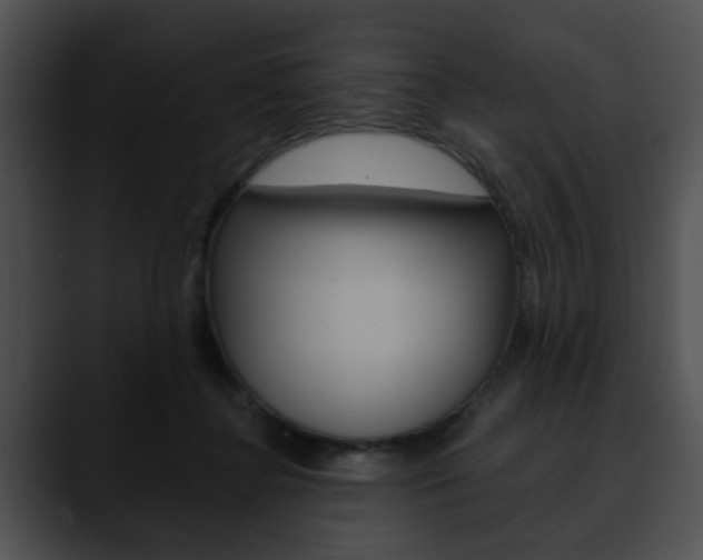 X0000090610364200707171049
