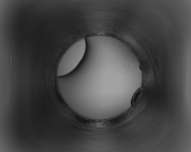 X0000090610365200707171049