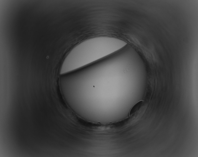 X0000090610366200707171049
