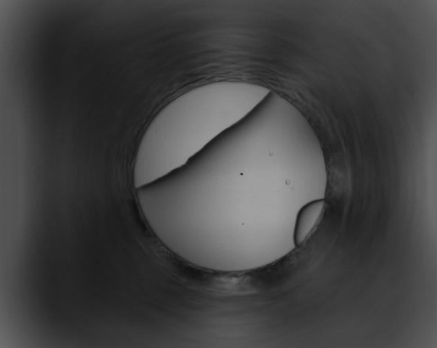 X0000090610375200707171049