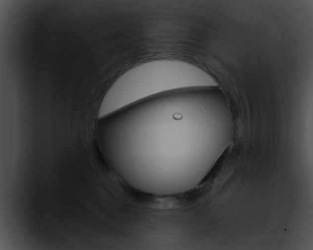 X0000090610376200707171049
