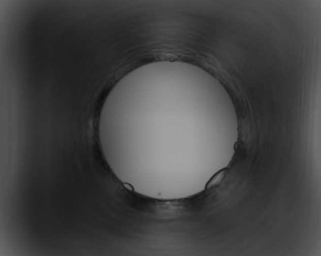 X0000090610378200707171049