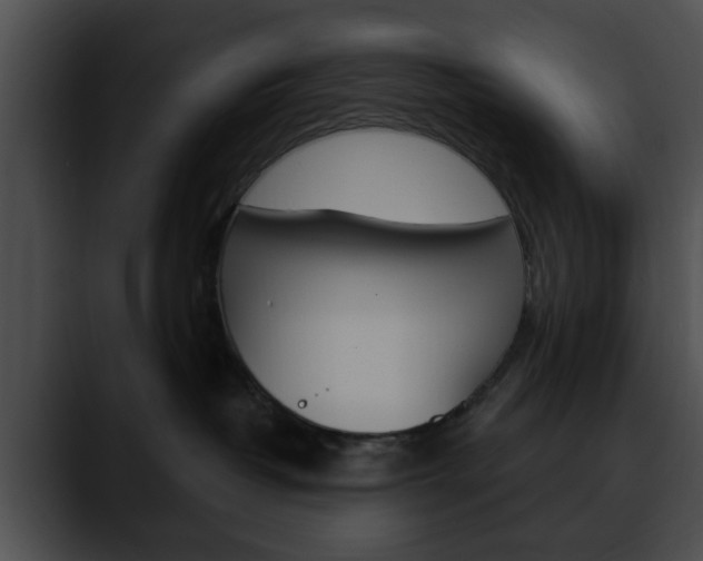 X0000090610382200707171049