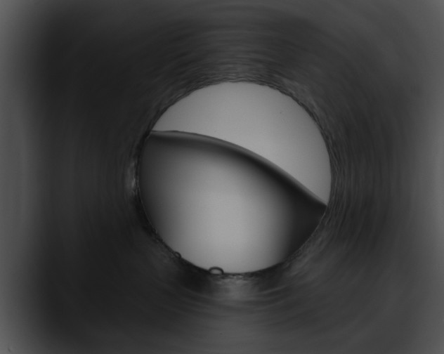 X0000090610383200707171049