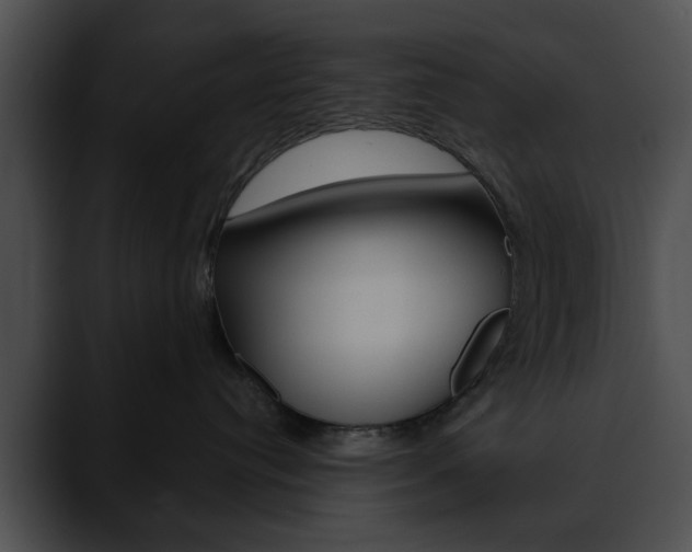 X0000090610384200707171049