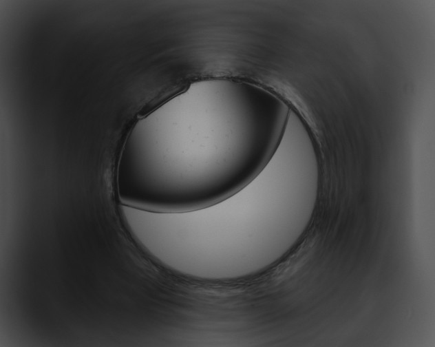 X0000090610393200707171048
