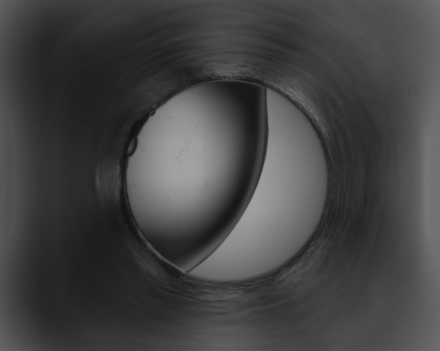 X0000090610397200707171048