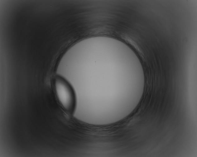 X0000090610403200707171048