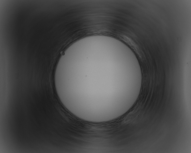 X0000090610405200707171048