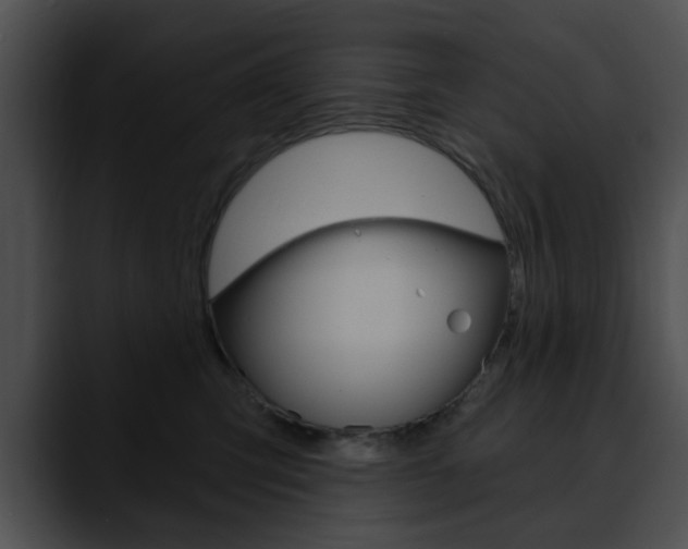 X0000090610423200707171048