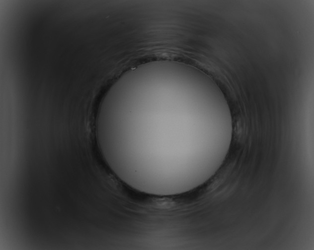 X0000090610424200707171048