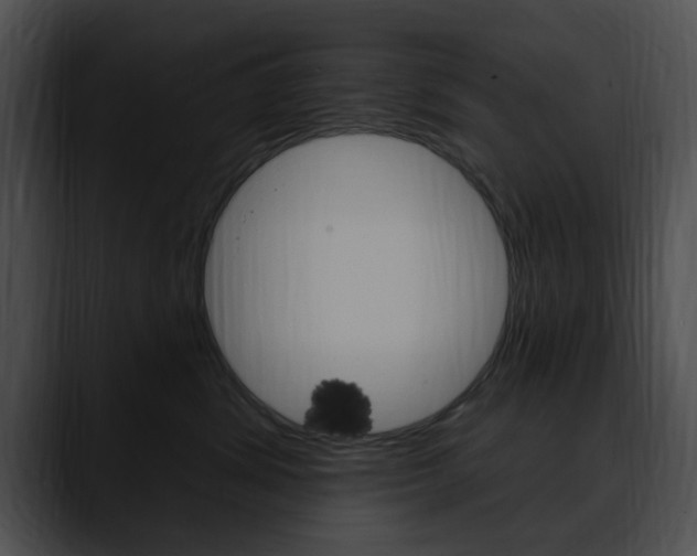 X0000090610428200707171048