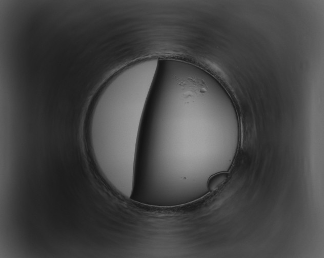 X0000090610435200707171047